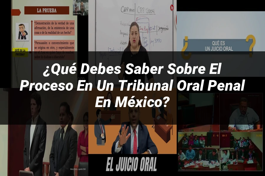 "¿Qué Debes Saber Sobre el Proceso en un Tribunal Oral Penal en México?"