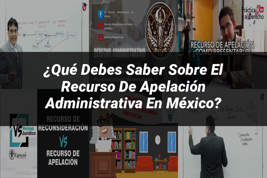 "¿Qué Debes Saber Sobre el Recurso de Apelación Administrativa en México?"