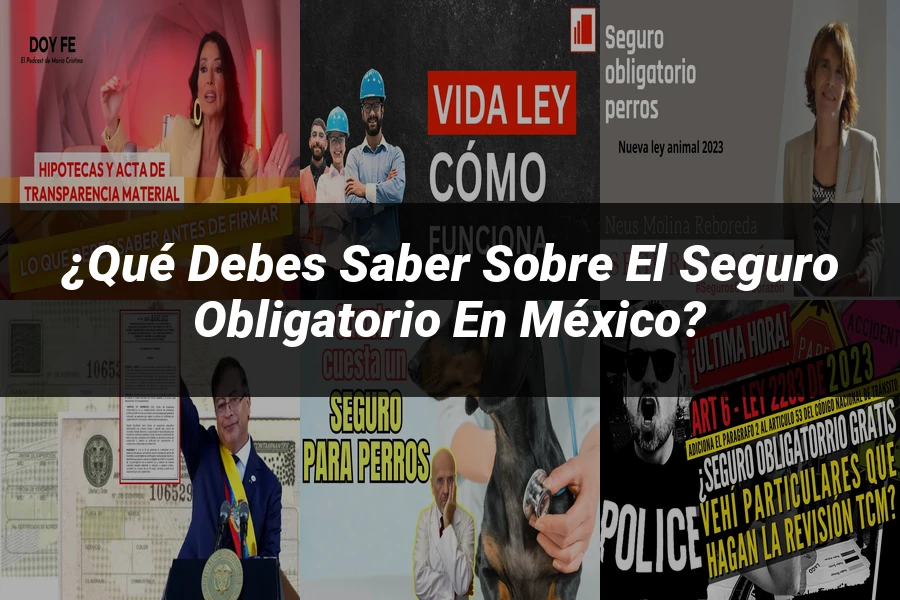 "¿Qué Debes Saber Sobre el Seguro Obligatorio en México?"