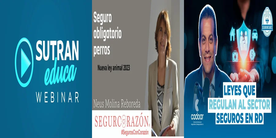 "¿Qué Debes Saber Sobre el Seguro Obligatorio en México?"