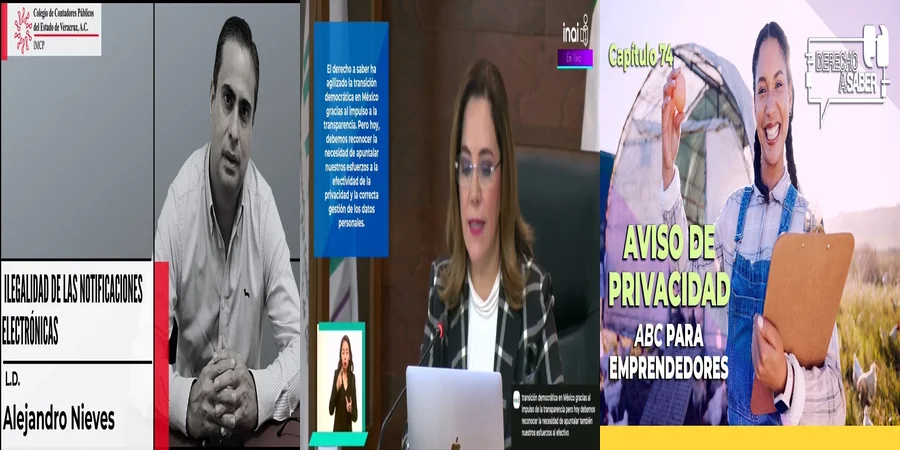 "¿Qué Debes Saber Sobre el Tratamiento de Datos Personales en México?"