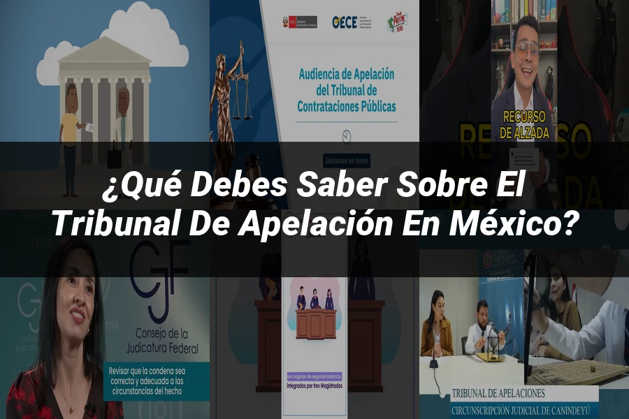"¿Qué Debes Saber Sobre el Tribunal de Apelación en México?"
