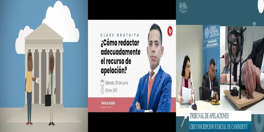 "¿Qué Debes Saber Sobre el Tribunal de Apelación en México?"