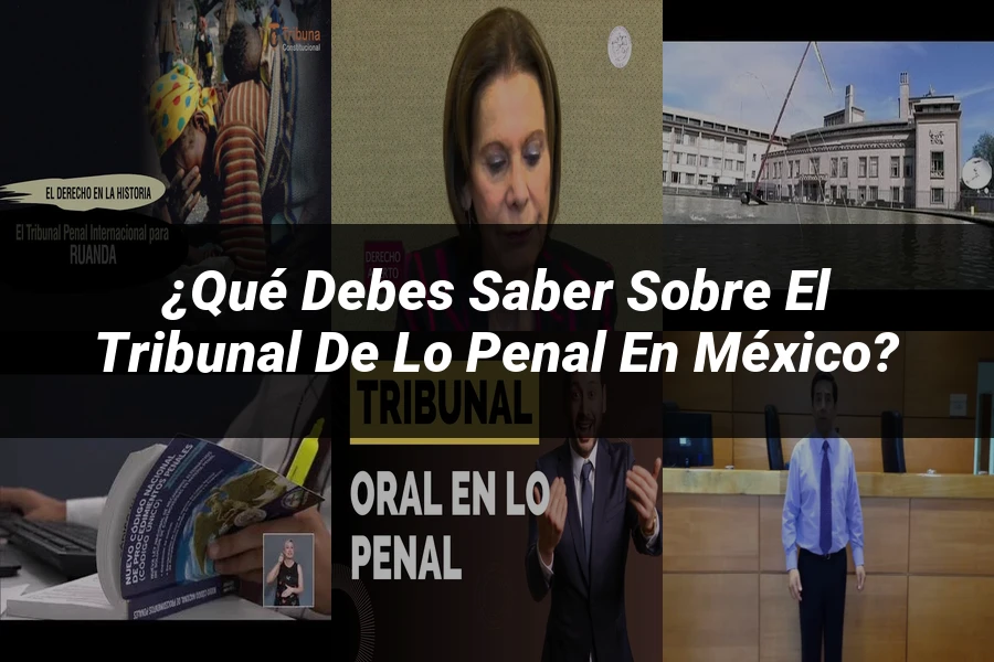 "¿Qué Debes Saber Sobre el Tribunal de lo Penal en México?"