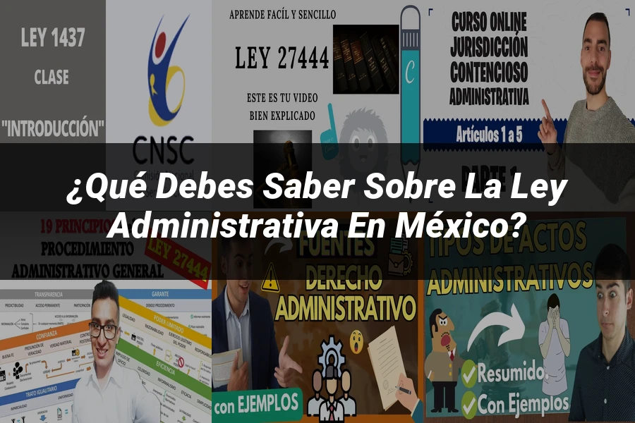 "¿Qué Debes Saber Sobre la Ley Administrativa en México?"