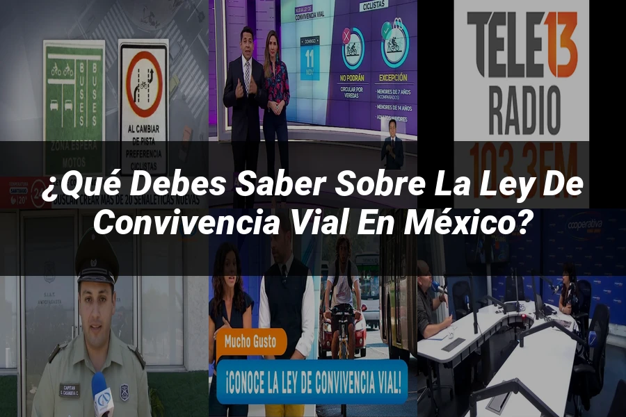 "¿Qué Debes Saber Sobre la Ley de Convivencia Vial en México?"
