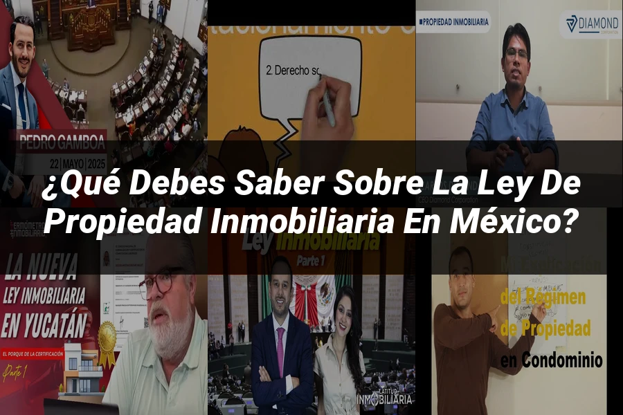 "¿Qué Debes Saber Sobre la Ley de Propiedad Inmobiliaria en México?"