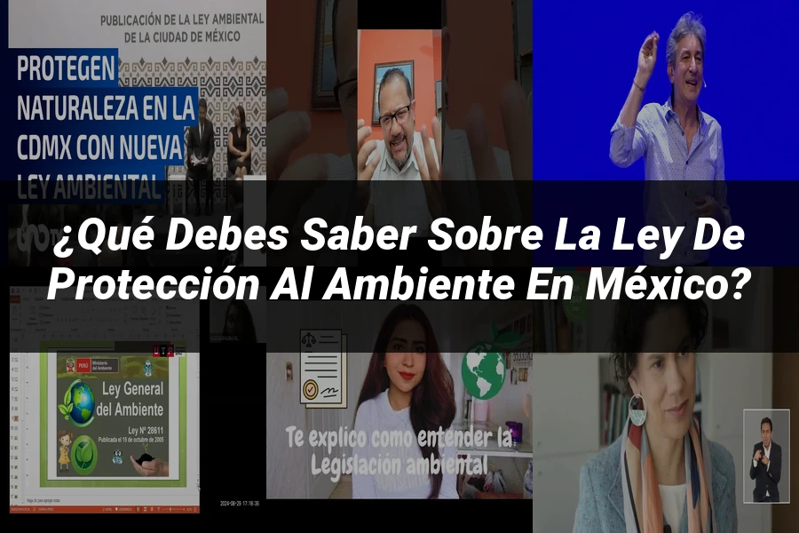 "¿Qué Debes Saber Sobre la Ley de Protección al Ambiente en México?"
