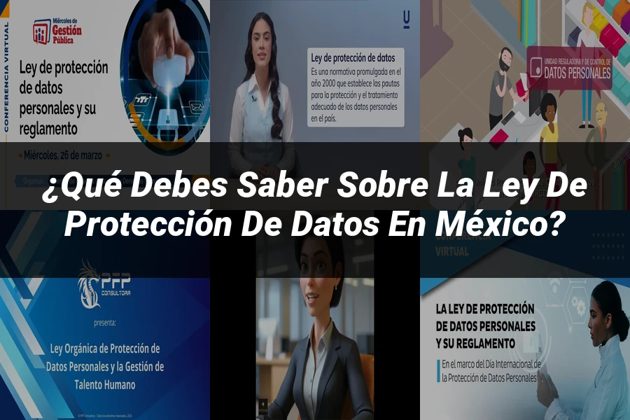 "¿Qué Debes Saber Sobre la Ley de Protección de Datos en México?"