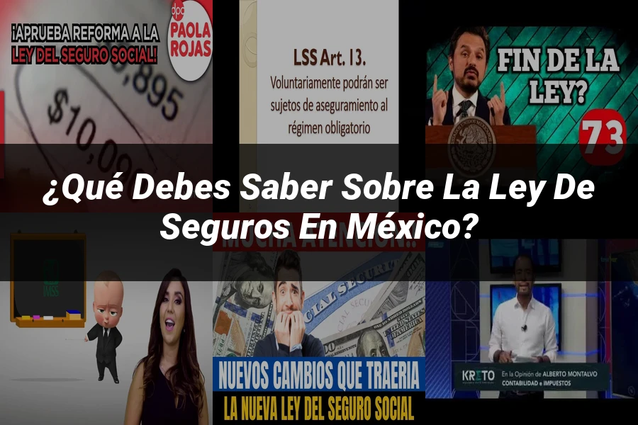"¿Qué Debes Saber Sobre la Ley de Seguros en México?"