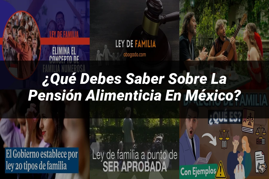 "¿Qué Debes Saber Sobre la Pensión Alimenticia en México?"