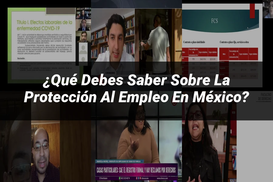 "¿Qué Debes Saber Sobre la Protección al Empleo en México?"