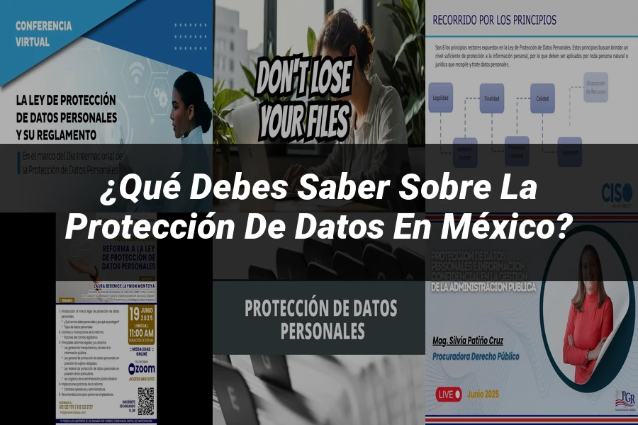 "¿Qué Debes Saber Sobre la Protección de Datos en México?"