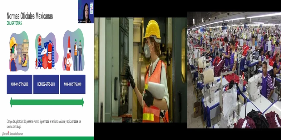 "¿Qué Debes Saber Sobre la Seguridad Laboral en México?"