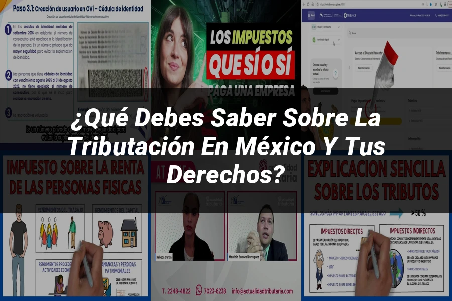 "¿Qué Debes Saber Sobre la Tributación en México y tus Derechos?"