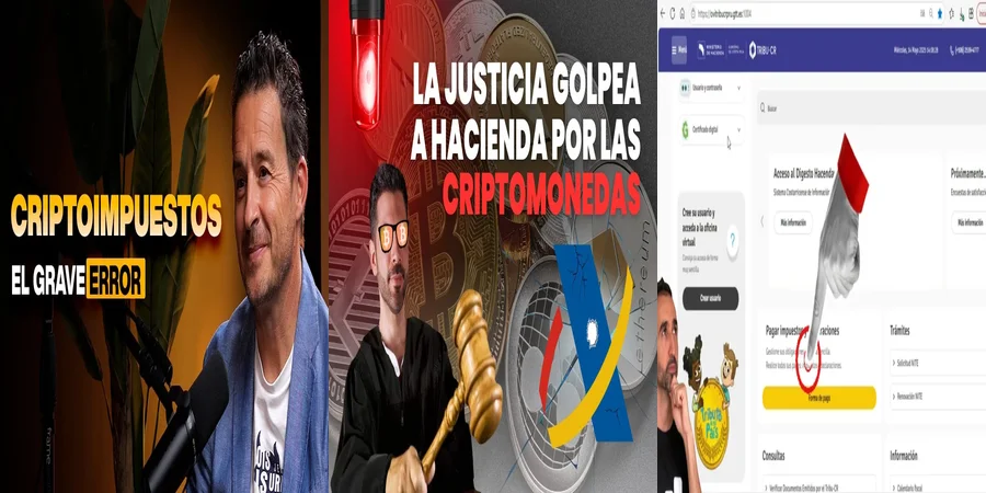 "¿Qué Debes Saber Sobre la Tributación en México y tus Derechos?"