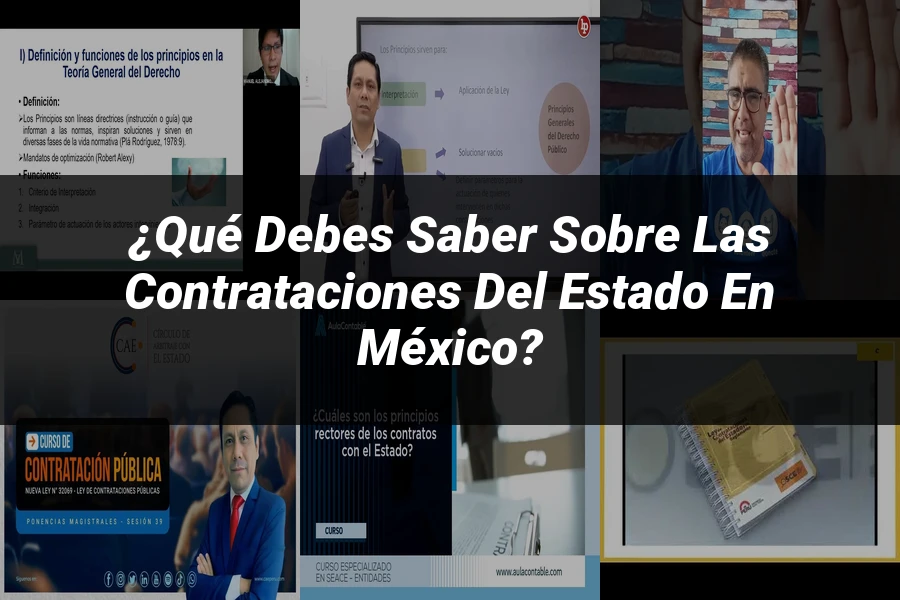 "¿Qué Debes Saber Sobre las Contrataciones del Estado en México?"