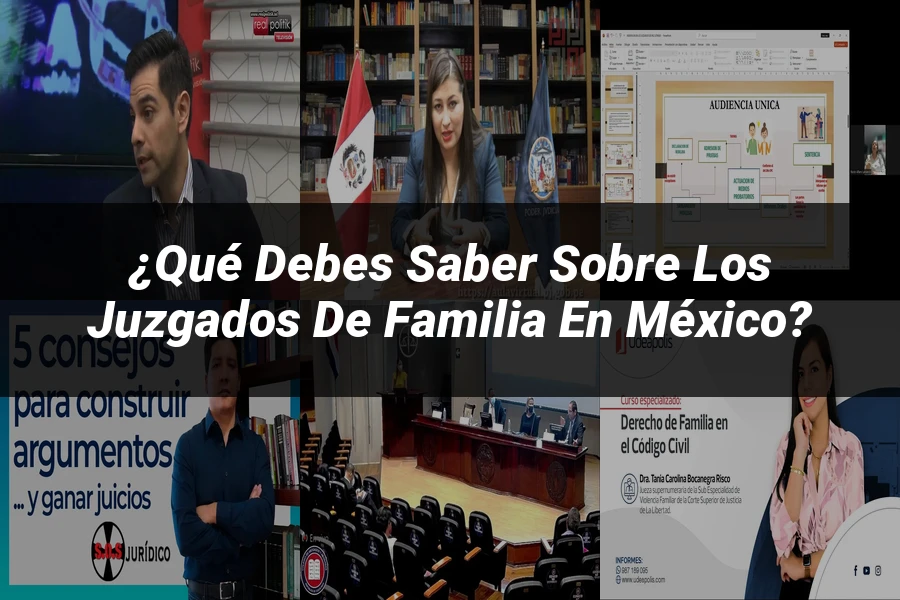 "¿Qué Debes Saber Sobre los Juzgados de Familia en México?"