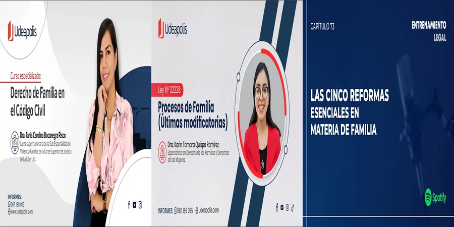 "¿Qué Debes Saber Sobre los Juzgados de Familia en México?"