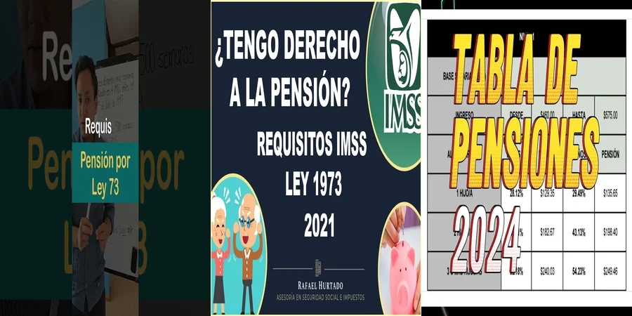 "¿Qué Debes Saber Sobre tus Derechos de Pensión en México?"