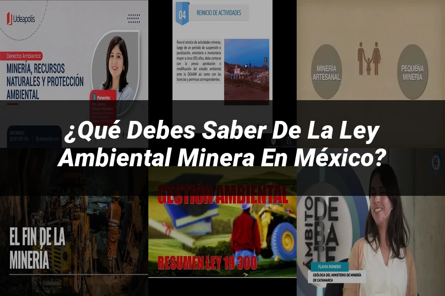 "¿Qué Debes Saber de la Ley Ambiental Minera en México?"