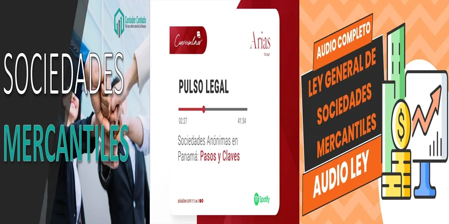 "¿Qué Debes Saber de la Ley de Sociedades Anónimas en México?"