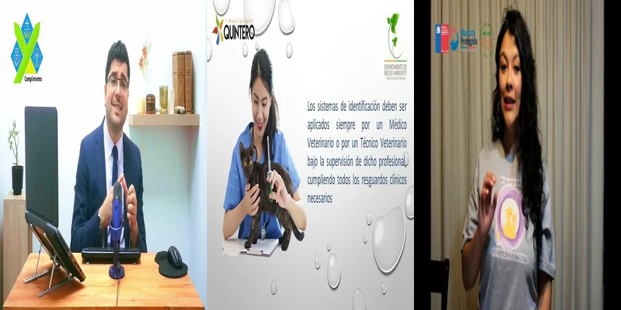 "¿Qué Debes Saber de la Ley de Tenencia Responsable de Mascotas en México?"