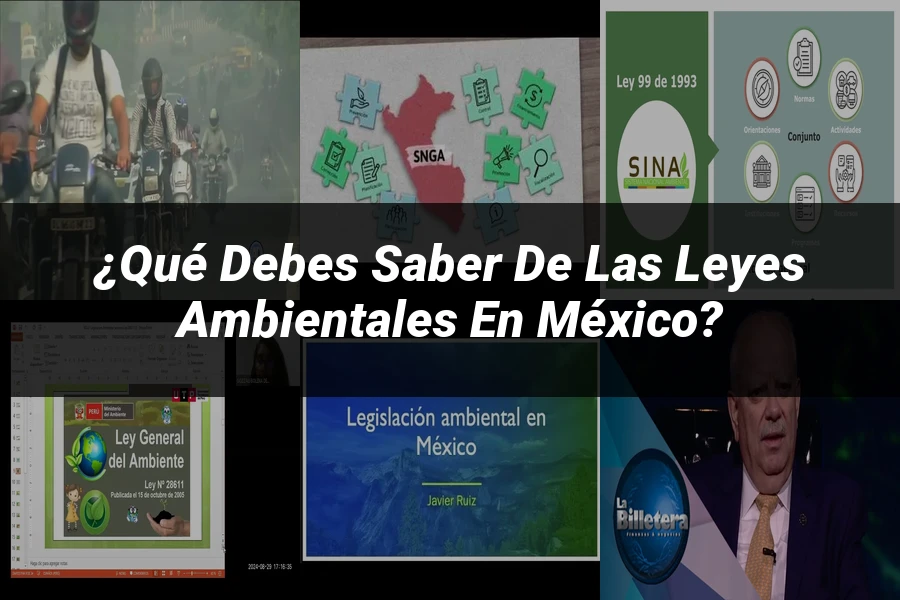 "¿Qué Debes Saber de las Leyes Ambientales en México?"