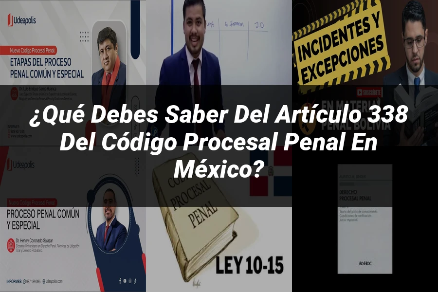 "¿Qué Debes Saber del Artículo 338 del Código Procesal Penal en México?"