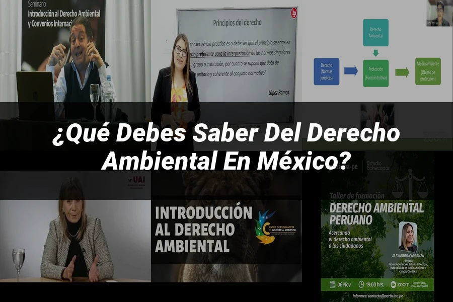 "¿Qué Debes Saber del Derecho Ambiental en México?"