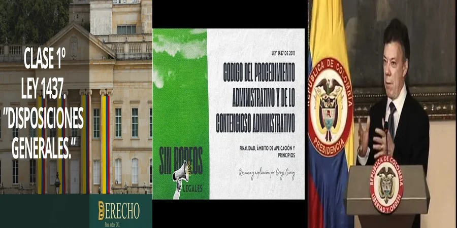 "¿Qué Debes Saber del Procedimiento Administrativo en México?"