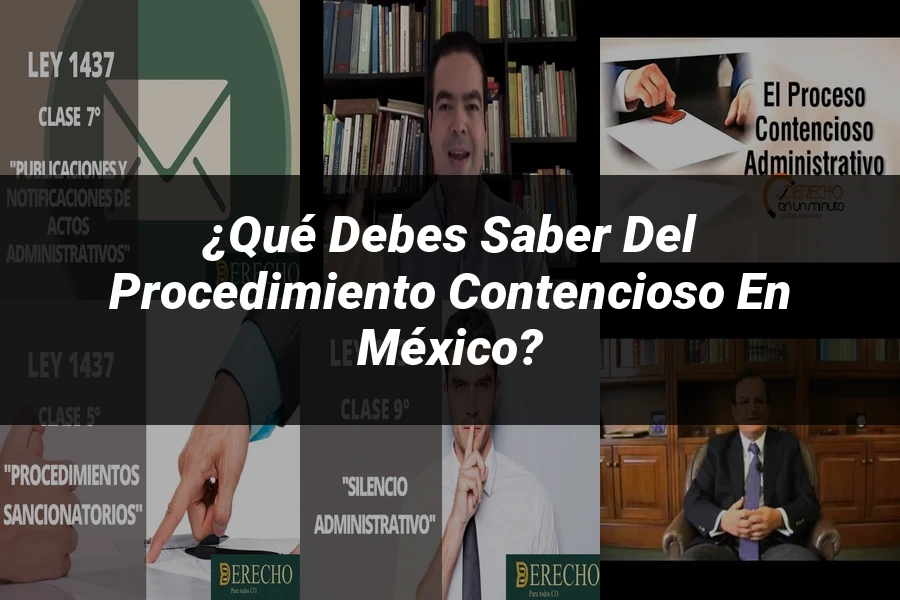 "¿Qué Debes Saber del Procedimiento Contencioso en México?"