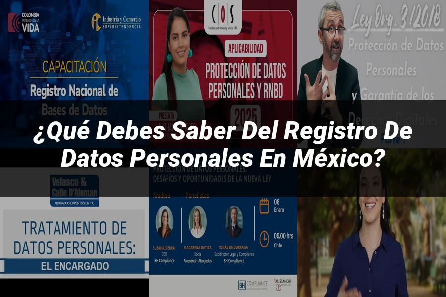 "¿Qué Debes Saber del Registro de Datos Personales en México?"