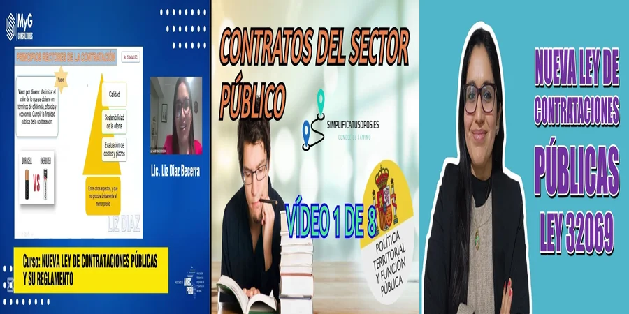 "¿Qué Debes Saber del Reglamento de Contratos Públicos en México?"