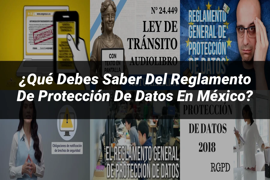 "¿Qué Debes Saber del Reglamento de Protección de Datos en México?"