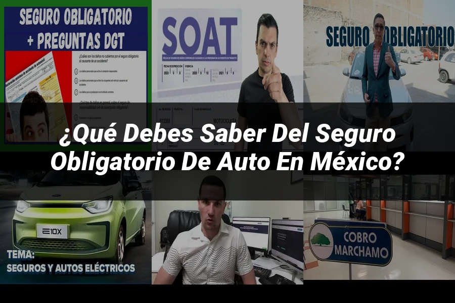 "¿Qué Debes Saber del Seguro Obligatorio de Auto en México?"