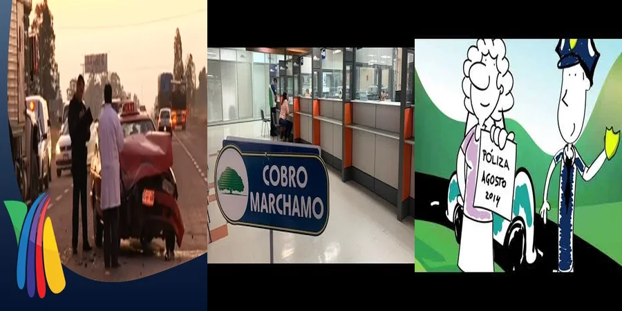 "¿Qué Debes Saber del Seguro Obligatorio de Auto en México?"
