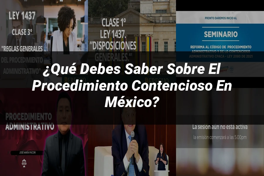 "¿Qué Debes Saber sobre el Procedimiento Contencioso en México?"
