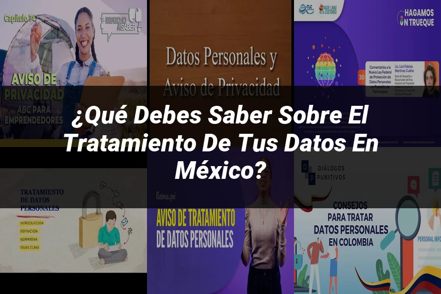 "¿Qué Debes Saber sobre el Tratamiento de tus Datos en México?"