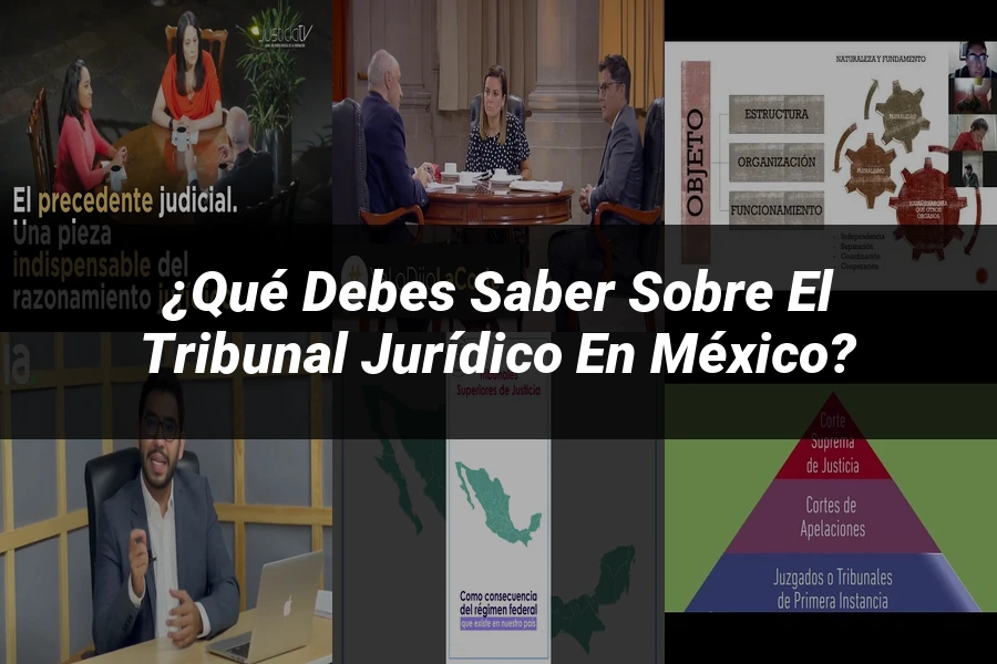 "¿Qué Debes Saber sobre el Tribunal Jurídico en México?"