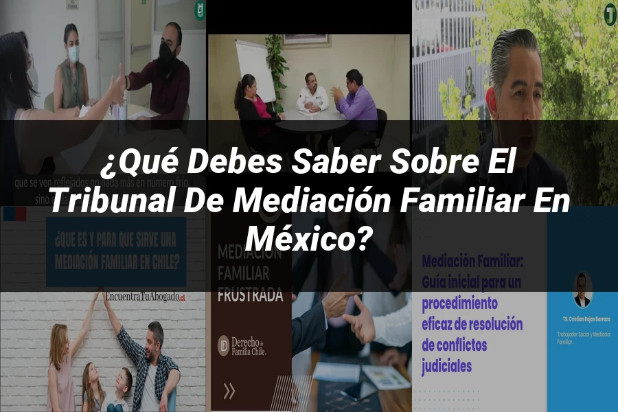 "¿Qué Debes Saber sobre el Tribunal de Mediación Familiar en México?"