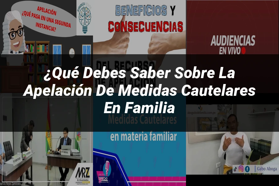 "¿Qué Debes Saber sobre la Apelación de Medidas Cautelares en Familia