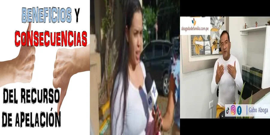 "¿Qué Debes Saber sobre la Apelación de Medidas Cautelares en Familia