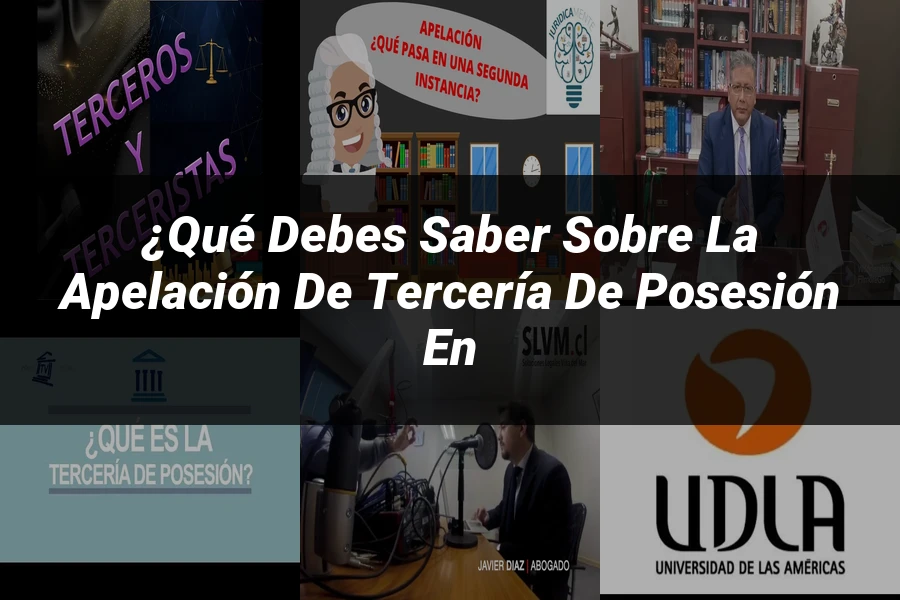 "¿Qué Debes Saber sobre la Apelación de Tercería de Posesión en