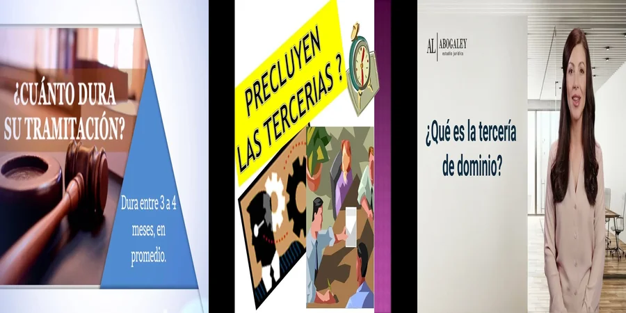 "¿Qué Debes Saber sobre la Apelación de Tercería de Posesión en