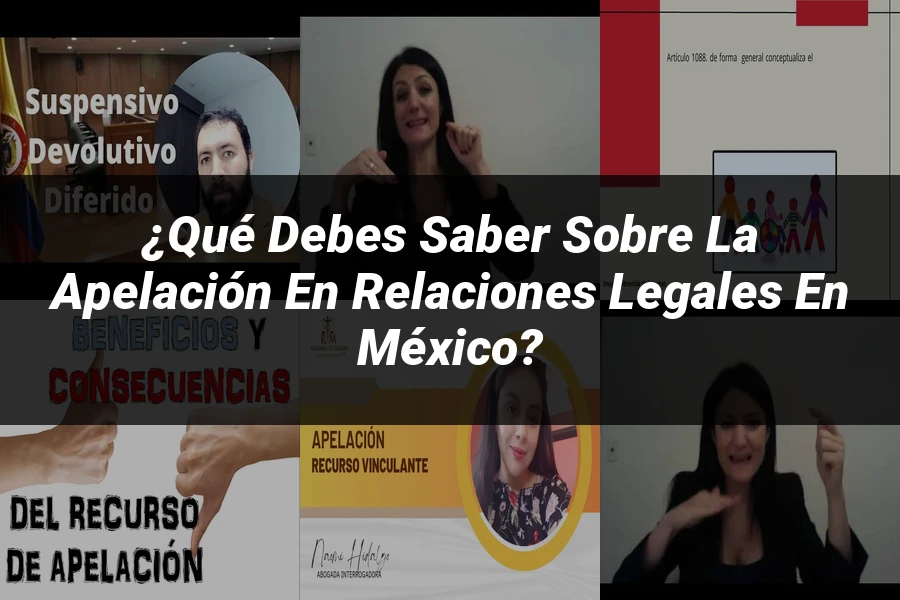 "¿Qué Debes Saber sobre la Apelación en Relaciones Legales en México?"