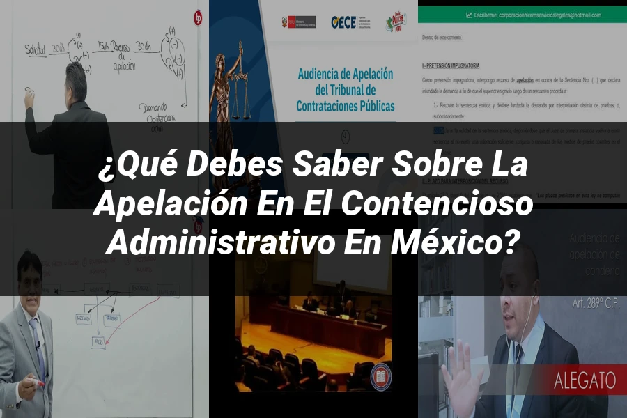 "¿Qué Debes Saber sobre la Apelación en el Contencioso Administrativo en México?"