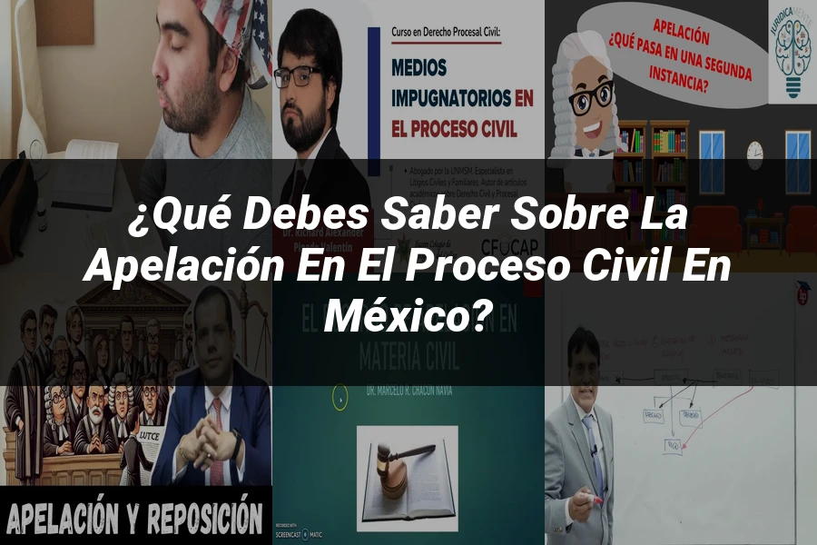 "¿Qué Debes Saber sobre la Apelación en el Proceso Civil en México?"