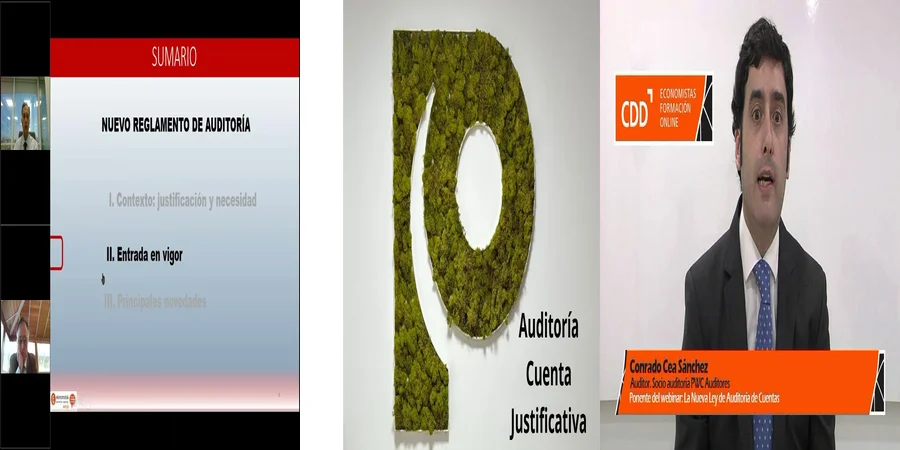 "¿Qué Debes Saber sobre la Auditoría de Cuentas en México?"