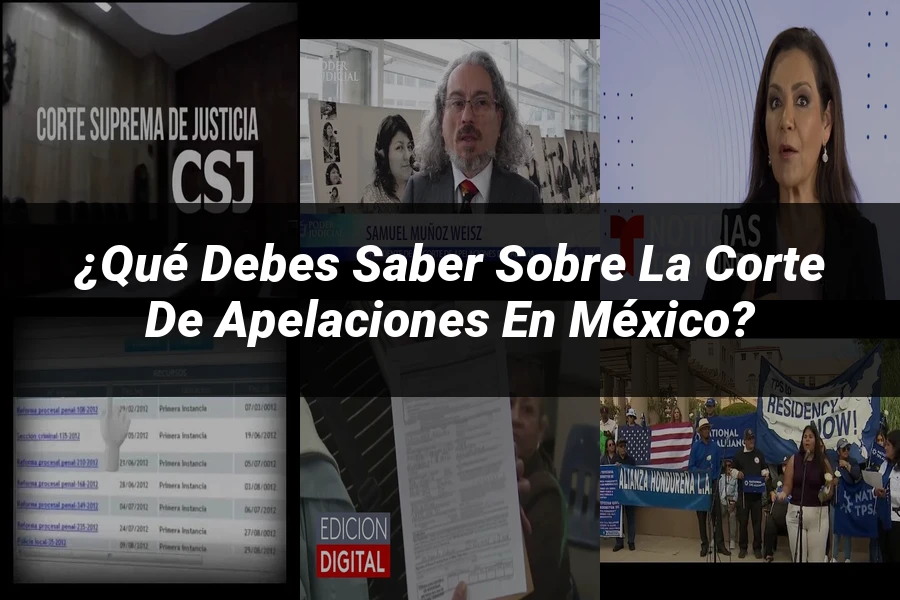 "¿Qué Debes Saber sobre la Corte de Apelaciones en México?"